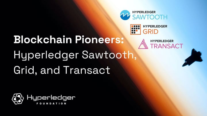 Blockchain Pioneers: Hyperledger Sawtooth, Grid and Transact